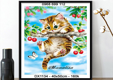 Tranh thêu chữ thập Mèo Con DX1134 - KT:(40x50)cm